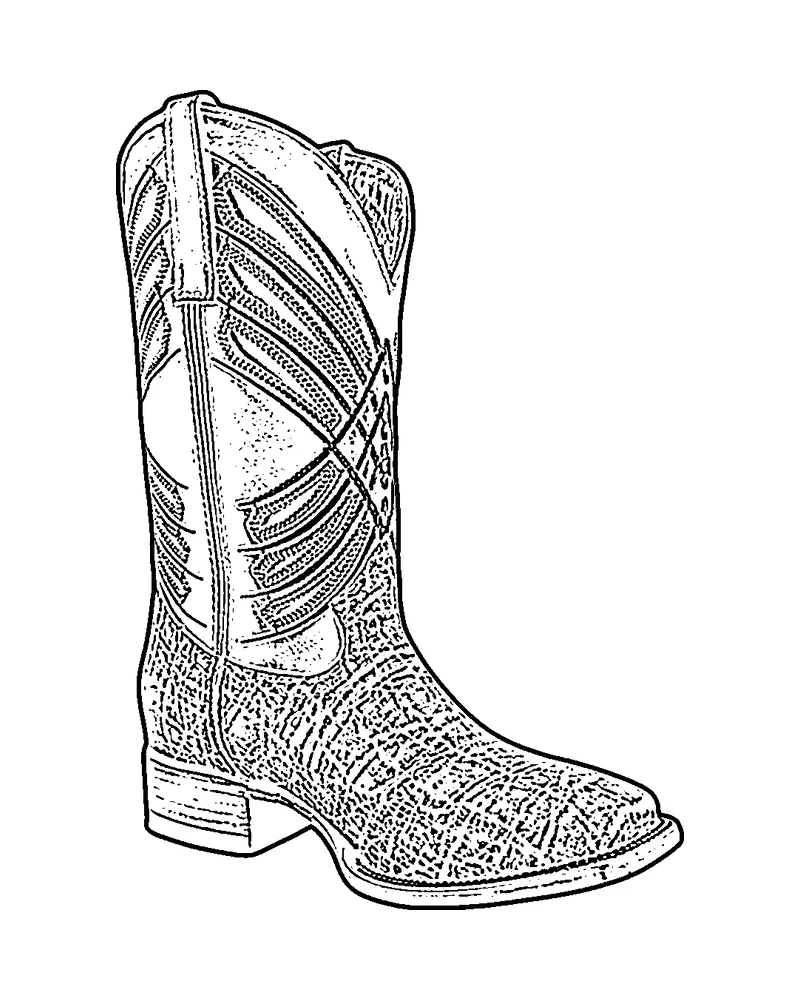 Ilustración de una bota vaquera