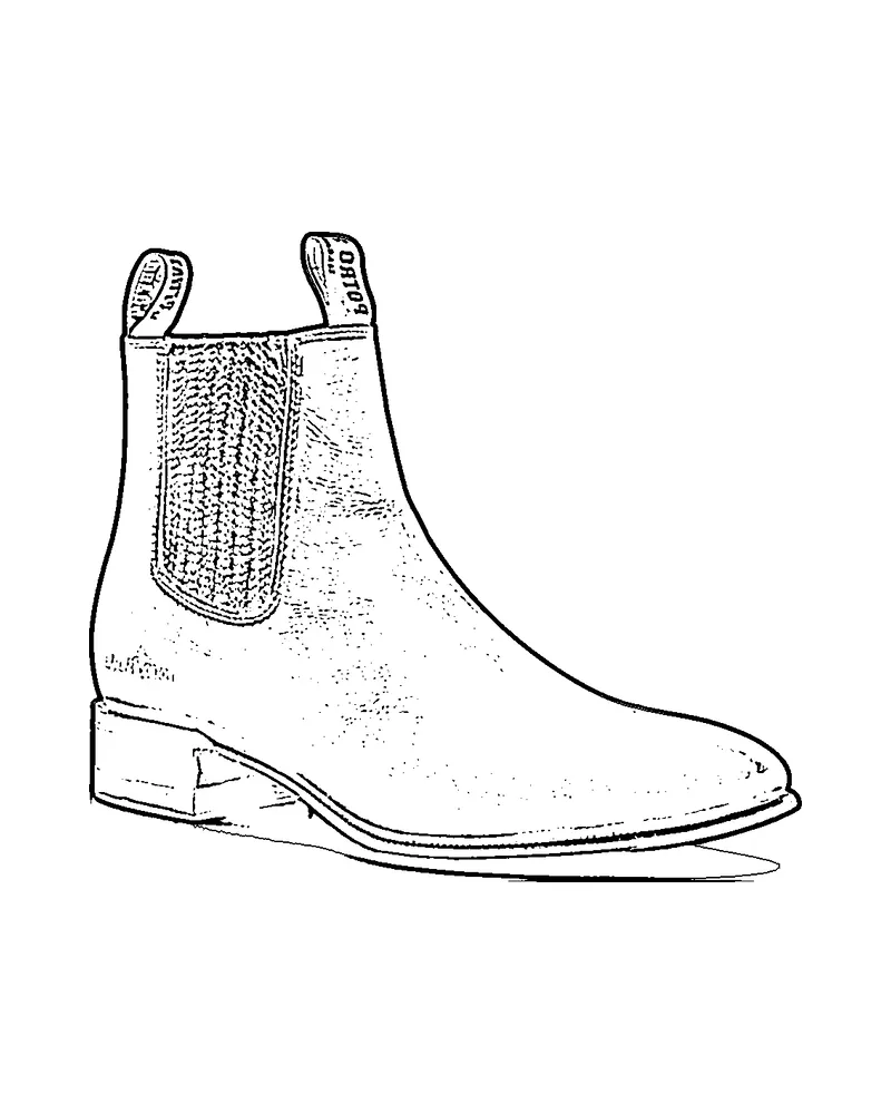 Ilustración de una botín charro