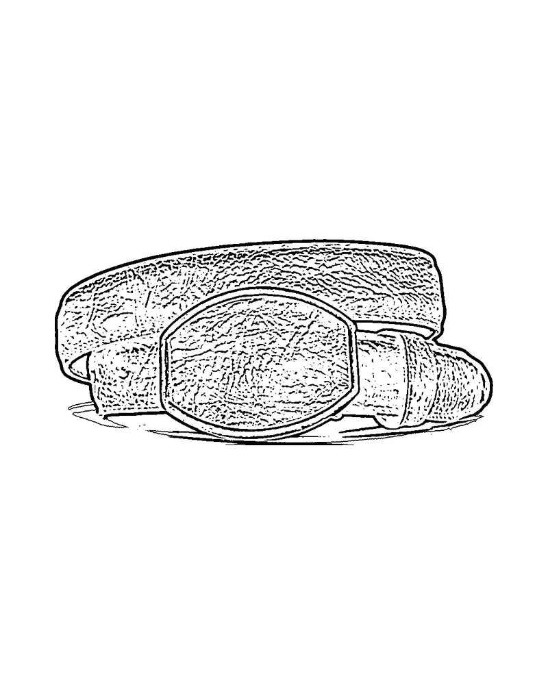 Ilustración de una cinturón de piel